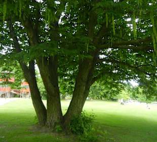 Parkanlage Planten un Blomen