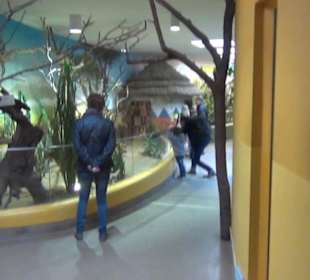 Südamerika Bereich - Löwenhaus