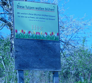 Hinweisschilder über die Blumenwiesen