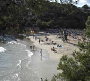 The beach from the hill