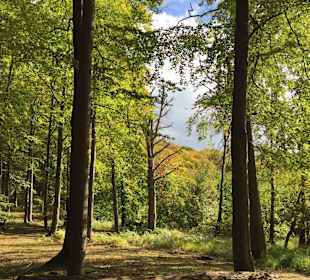 Wandern Binz auf Rügen