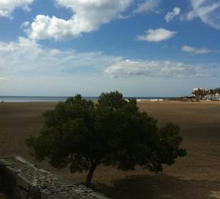 Playa de los Pocillos