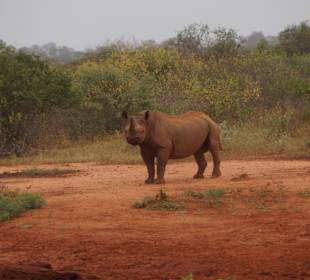 Tsavo West Nationalpark