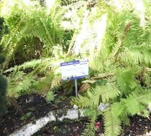 Kneipp`scher Sinnesgarten