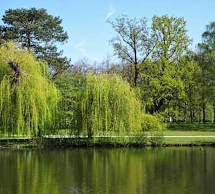 Eindrücke aus dem Georgengarten