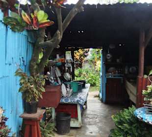 Bilder aus dem Garten