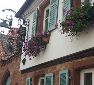 Rhodt unter Rietburg