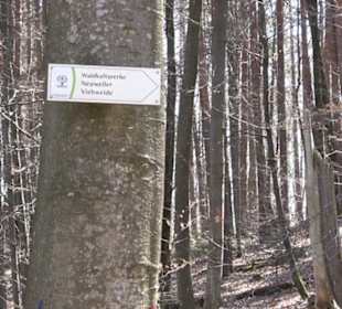 Waldkulturerbe Neuweiler Viehweide