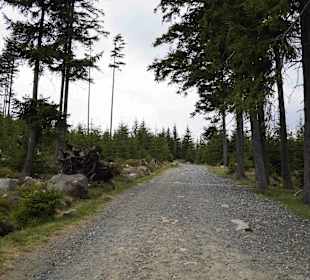 Berg Schneekoppe/Śnieżka