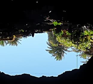 Jameos del Agua Cesar Manrique