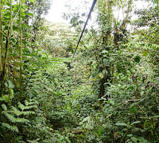 Die 3. war die kürzeste