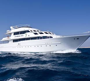 M/Y Contessa Mia