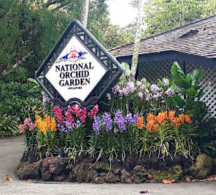 Botanischer Garten