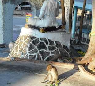 Wat Khao Takiab‎