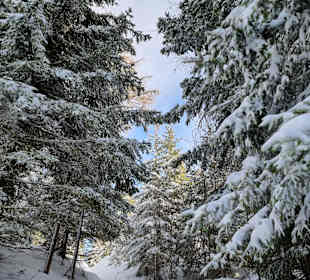 Idyllischer Weg auf den Teufelstein