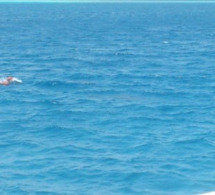 Susi in Ägypten - Ausflüge