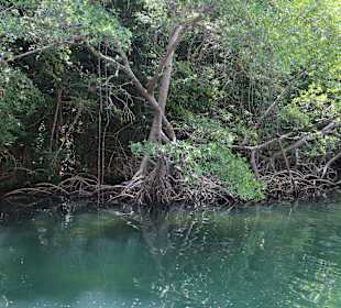 Nationalpark Los Haitises