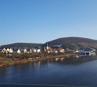 Blick auf das Mainufer