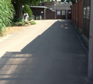 Zoo Heidelberg