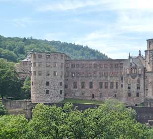 Besichtigung von Schloss Heidelberg