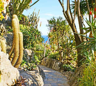 Botanischer Garten Monaco Monte Carlo