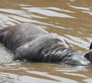 Ein Riss zur freien Verfügung!