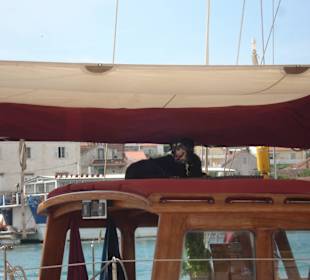 Split