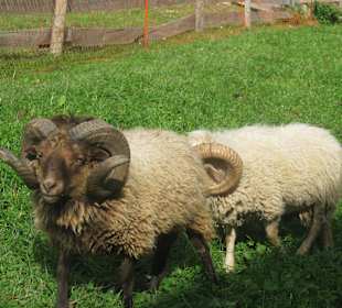 Erzherzog-Johann-Klause