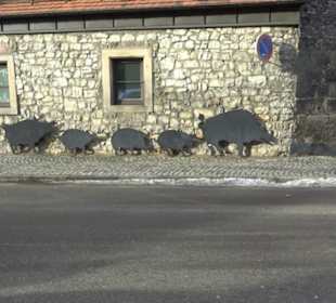 Residenzschloss Urach