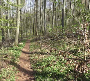 Wanderweg Hochgehkämpft