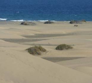 Dünenlandschaft