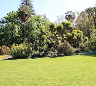 Royal Botanic Garden