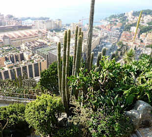 Ausblick vom Jardin Exotique