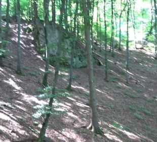 Premiumwanderweg "hochgesprudelt"