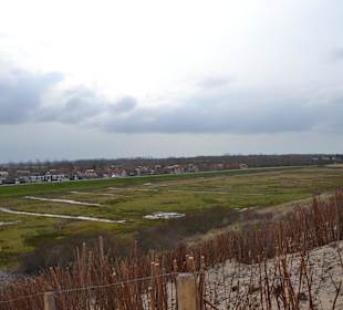 Deichlandschaft