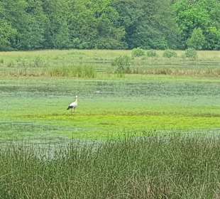 Schloßpark Kasteeltuinen Arcen