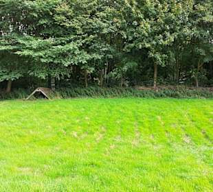 Museum Danevirke Dannewerk