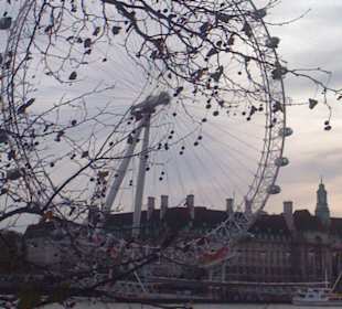 London Eye