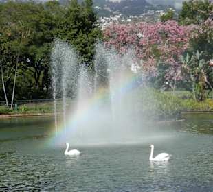 Park ve Fuchalu
