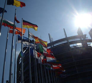 Banderas en el parlamento europeo