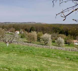 Blick Richtung Eisenberg