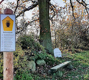 Wandern Groß Plasten