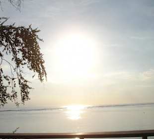 Noch steht sie hoch am Himmel