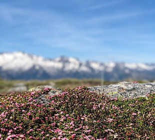 Wandern Neukirchen am Großvenediger