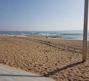 La Barceloneta