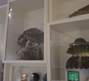 Museum Natur und Mensch