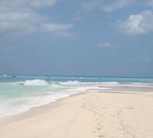 Ausflug Malibu Beach