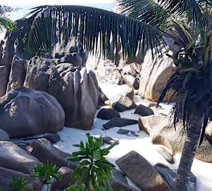 Anse Patates