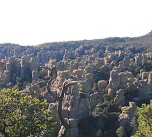 Chiricahua National Monument