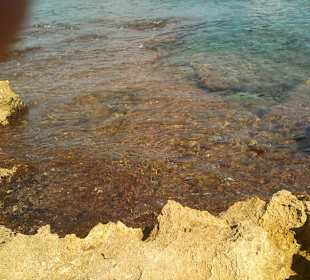 Sonstiges